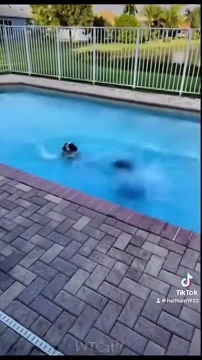 ��������� ���� ������!. ��������-����� ���������� �������