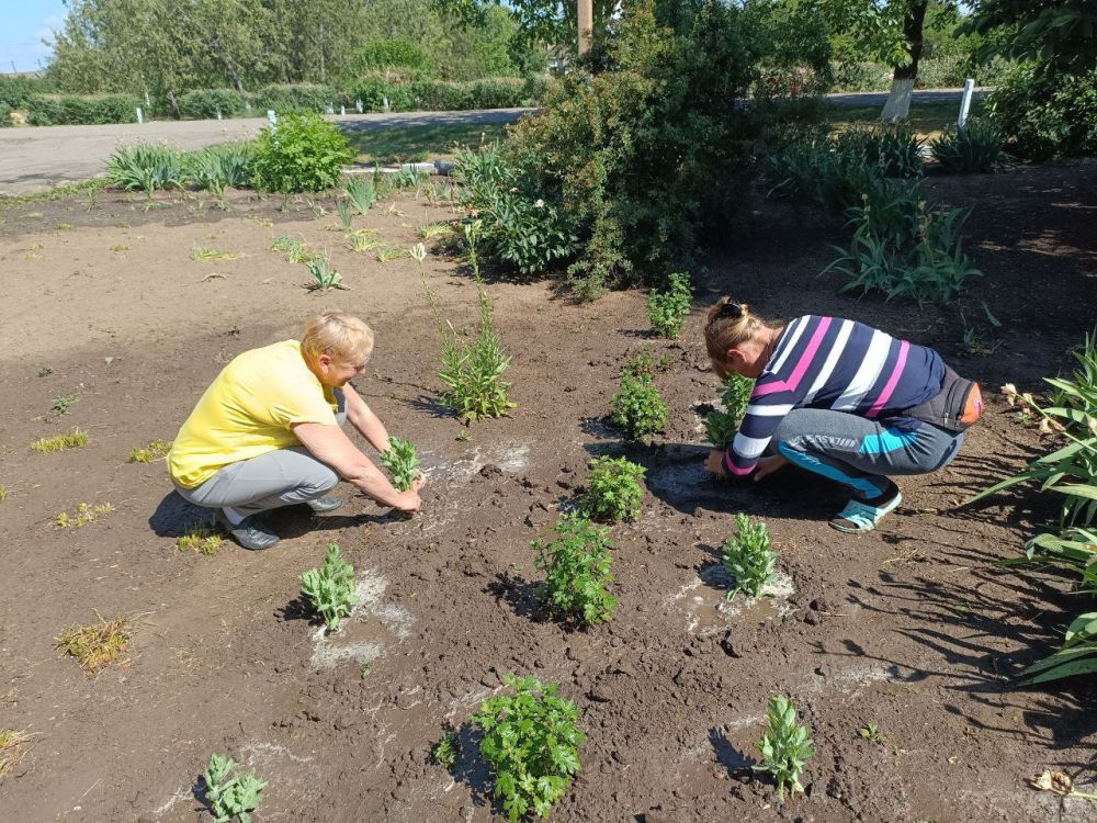 ��������� ��������. ������� ��������� ������������� ��������� ����� �������� ����� �� ������� ����� �����, �������� � ���...