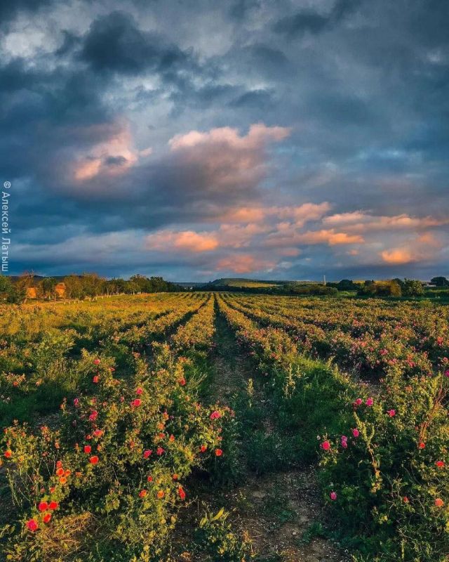 � ������ �����, �����������!