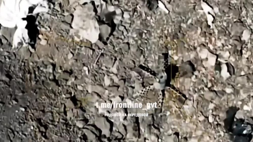 ���������� � �������� ��������������� ���� ���-2 �� ������� ���������