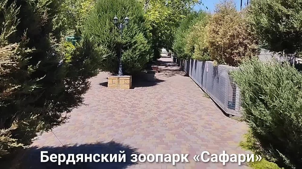 ����������� ����������� ��������-���� �������� ���������� ������� �������