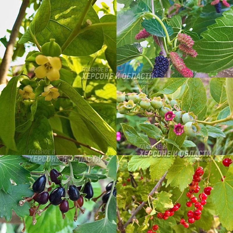 �����������, �������� � ����� ������� � ���������� ����� ������ �������� � ������� �������