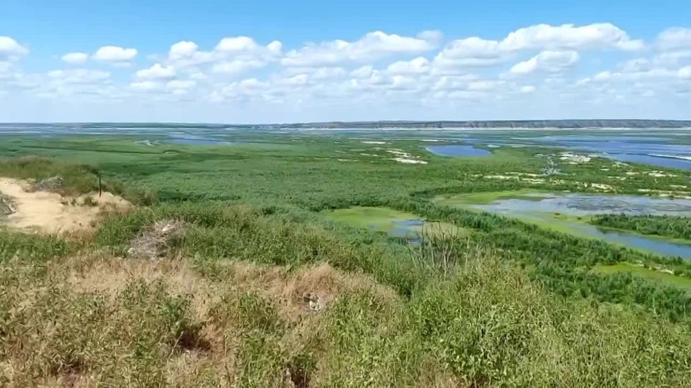 ����� ����������: ������� �������� ����������