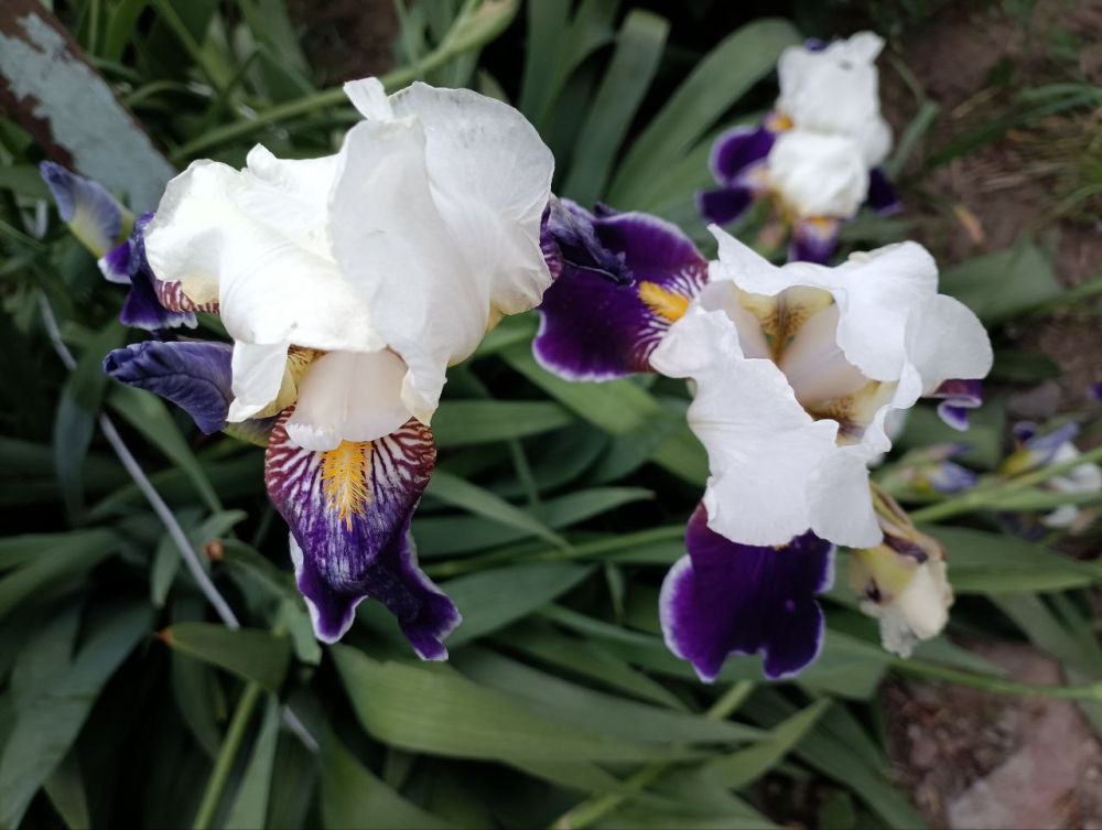 ���������� ���� �����, �� ��� �� ����� ��������