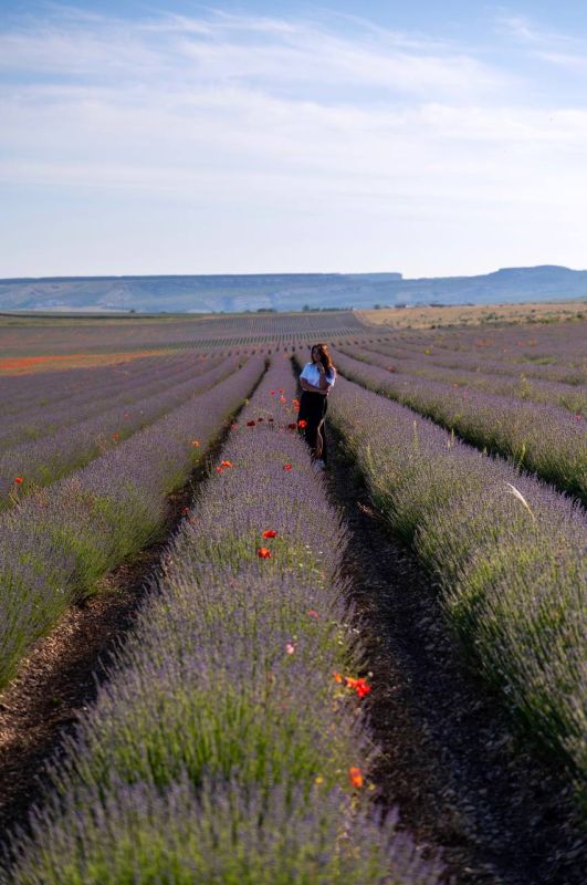 ������� � ���� ���� ���� ������ ������ ������ ������ �������� �����