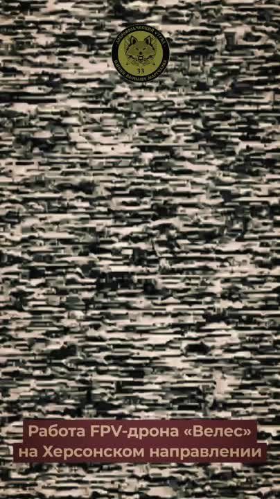 ���� ��������: ������ ������ ������ ��. �������� �������������� FPV-������� "�����" �� ���������� �����������