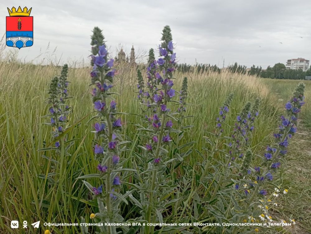 ������ ����, ������ ���������� �������������� ������!