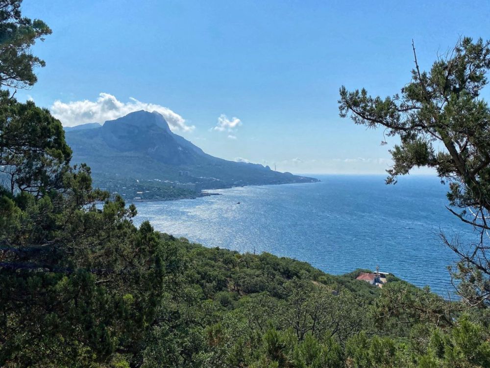 ������, ���� ������ �� �����!