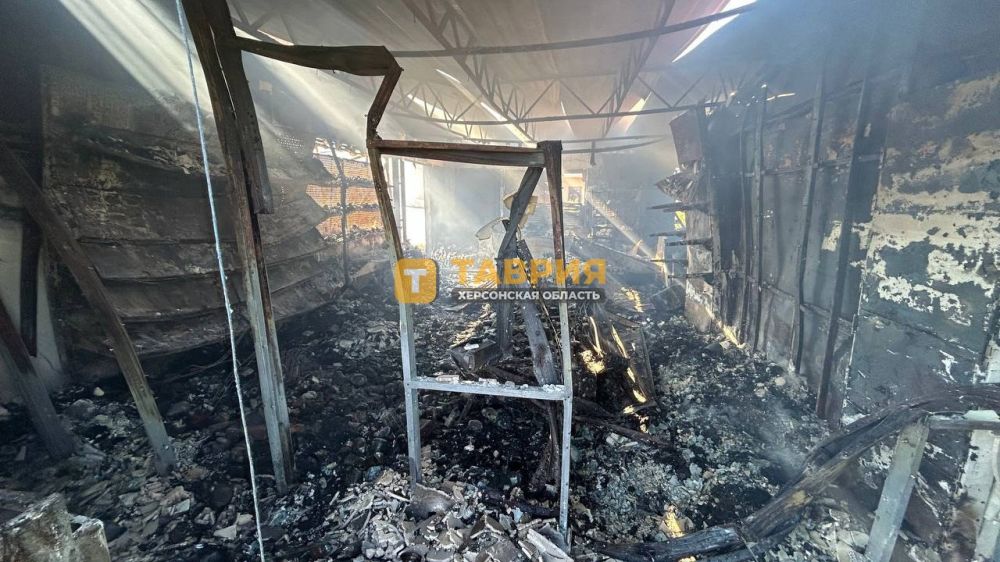 � ����������������� ������ ������ ����������� �������