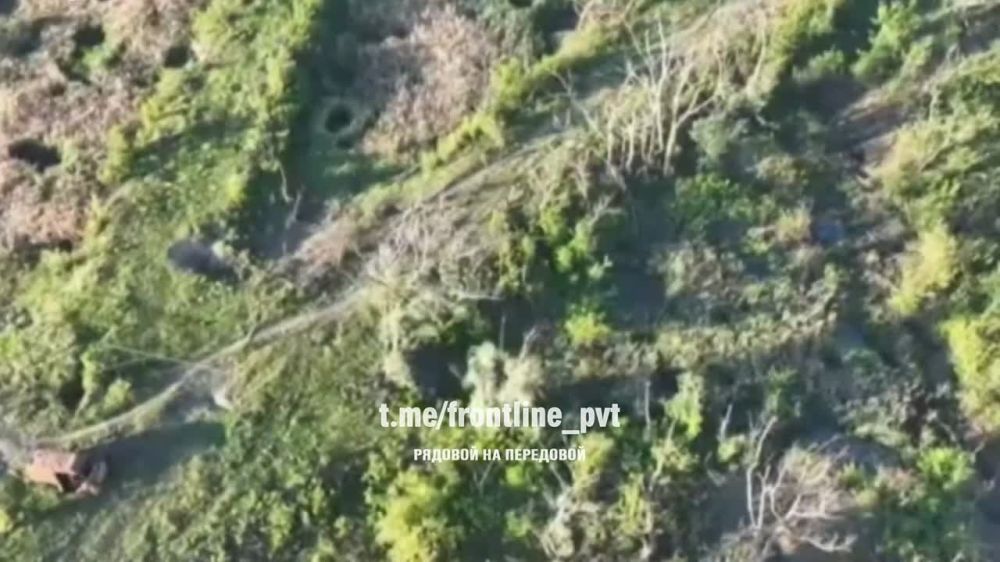 �������� ������ ����� ����� �� ���� � ������ ��������, �� ������ ���� �������� ������� ��������� ��������