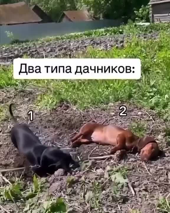 ��� �� ������� ��� �������?