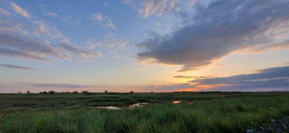 ���� ������� ������, ������!