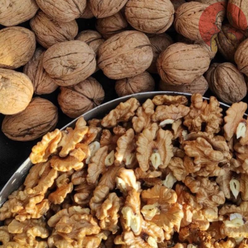 ������ ������� ������. ������� ����� ��������� �������� �������, �������� ������, ������� ������� ������ � �����. ����� ��� ����� �������� ������ � �������� ������������� ���������