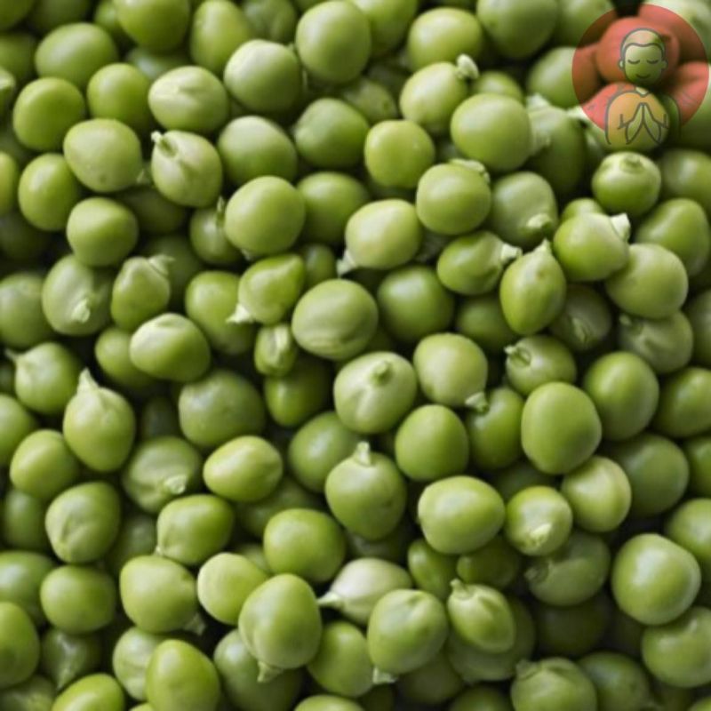 �������� �������� ������