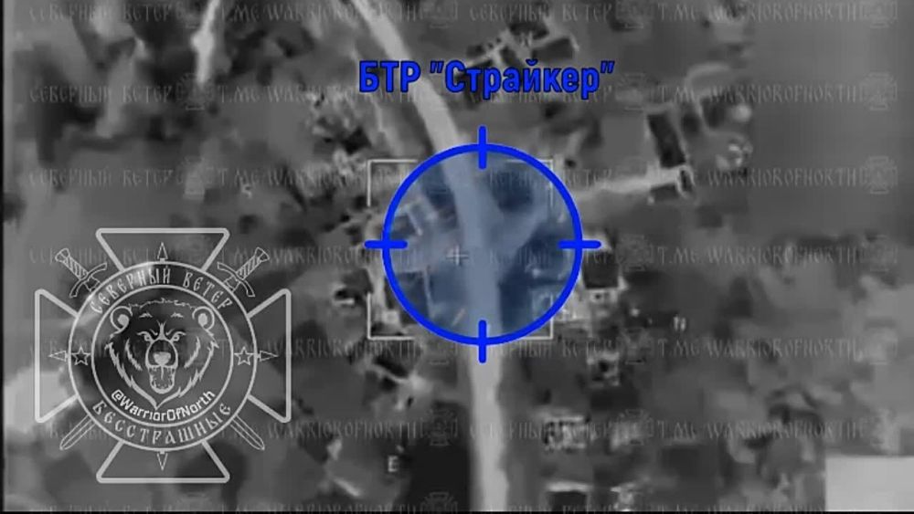 vs� ��������� "����������" ��������� ��� ������������� ������������ "��������"