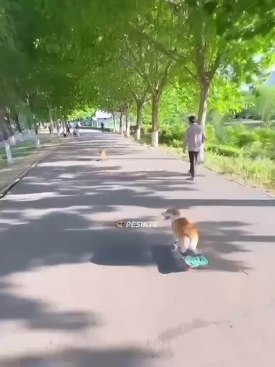 � ��������� ������������ ����� ���� ����� �� �������