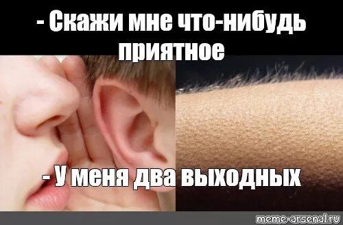 ����� ���-������ ��������