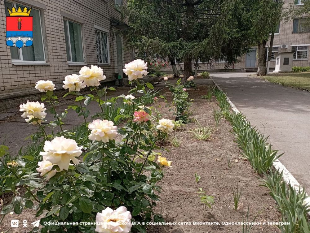 ������ ����, ������ ���������� �������������� ������!