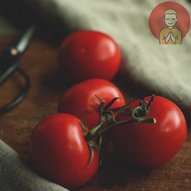 ������ ������������ �������� ������