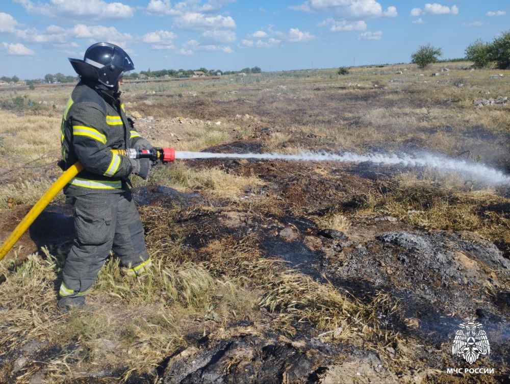 �� �������� ����� ����������� ��� ���������� ������� ������������� 12 �������