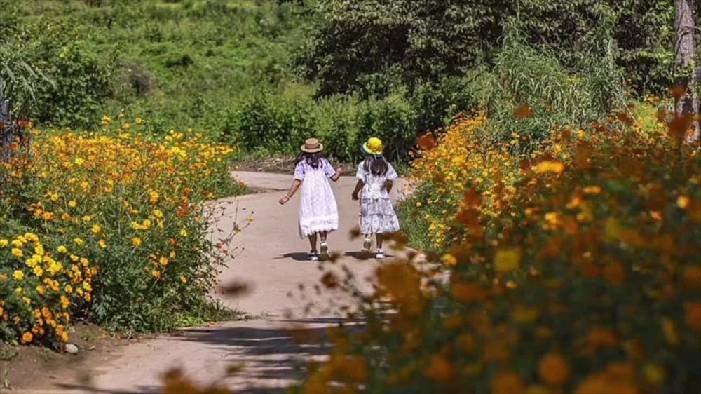 ����� ����������: � ����������- � ������������� ���� ������ �����!