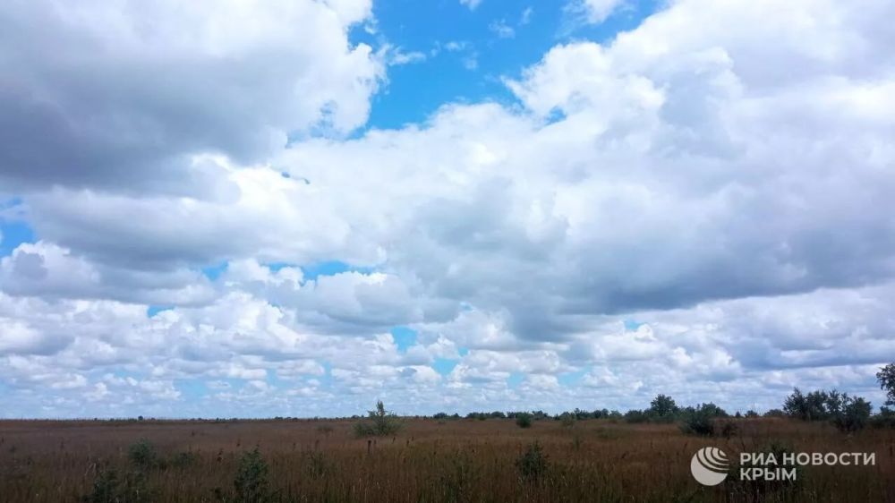 ������ �� ����� ����������� ������