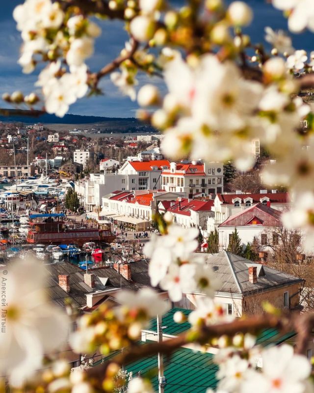 ��������� � ��������� ��������