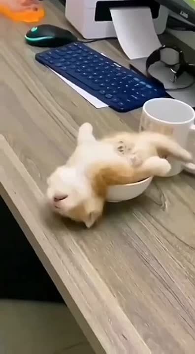 �������, � ���-�� ������ �� ����������