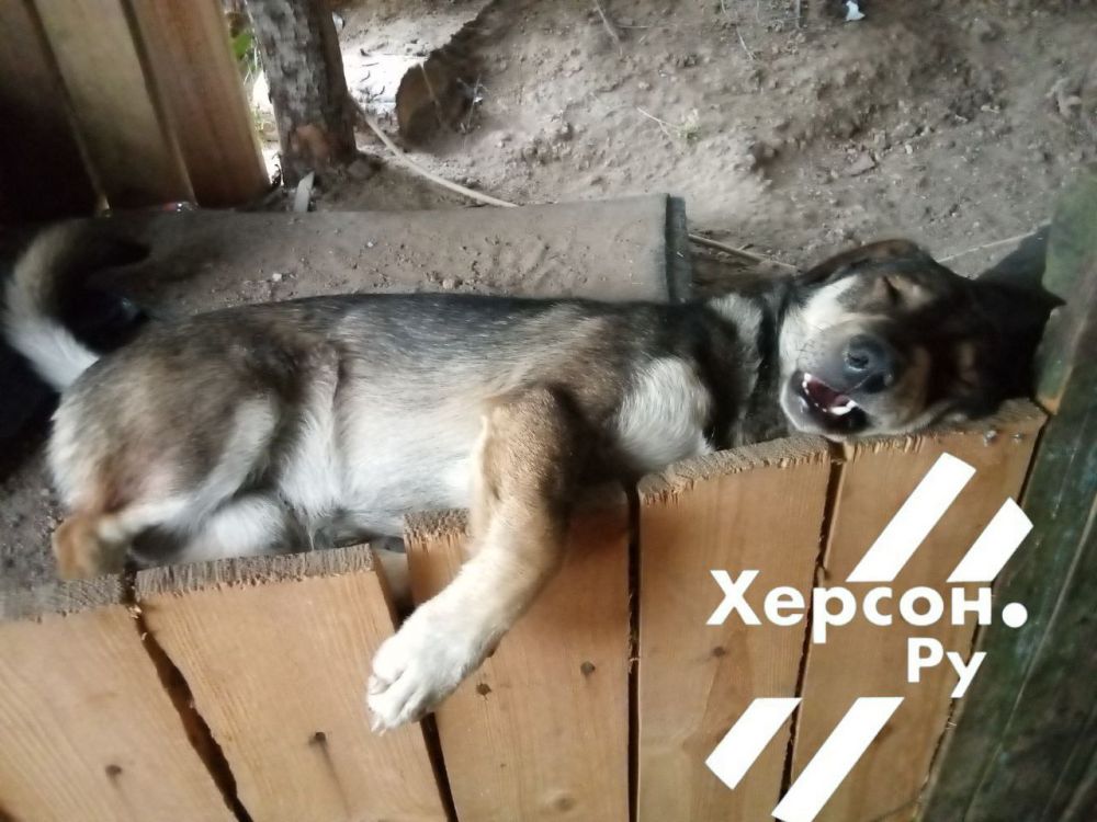 � ����������� ����������� ����� ���, � ������ ������� �� ����������))) ������� �����, ����� ���� ����� �� ���������