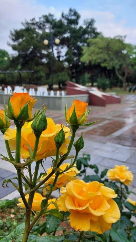 �������� ��� ������-�����: ���� ������ � �����������