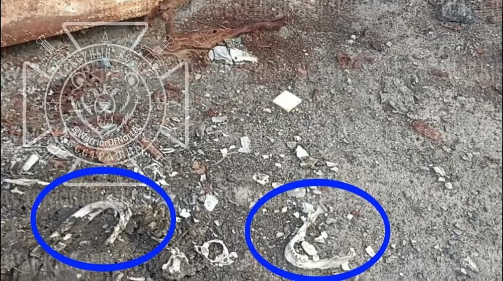 ����� �� �� ����������� ������������ ����������� ���� "�����" � ������ ��� ���������