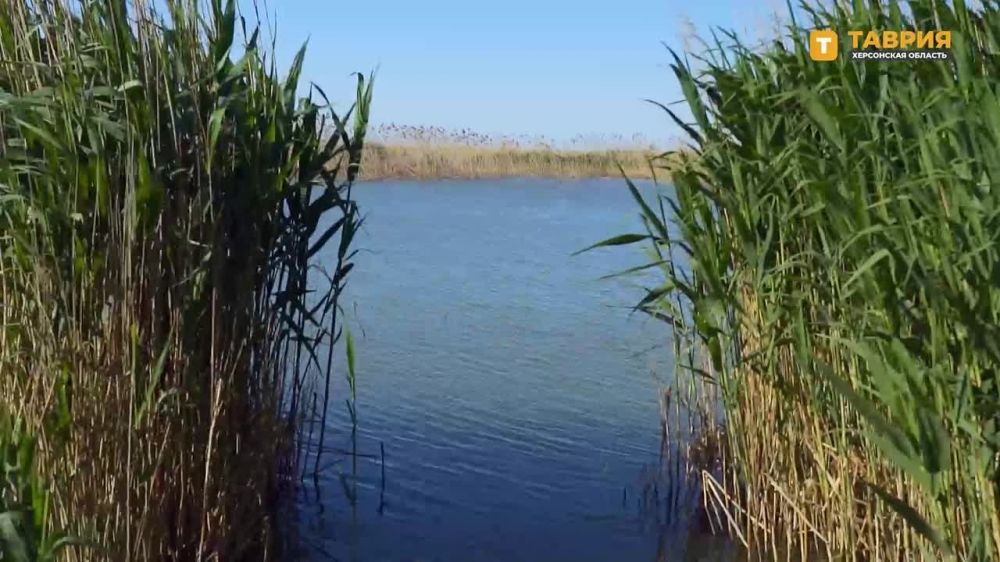 � ������ ���� ���������� ������� ������, ����������� � ���� ����� ����