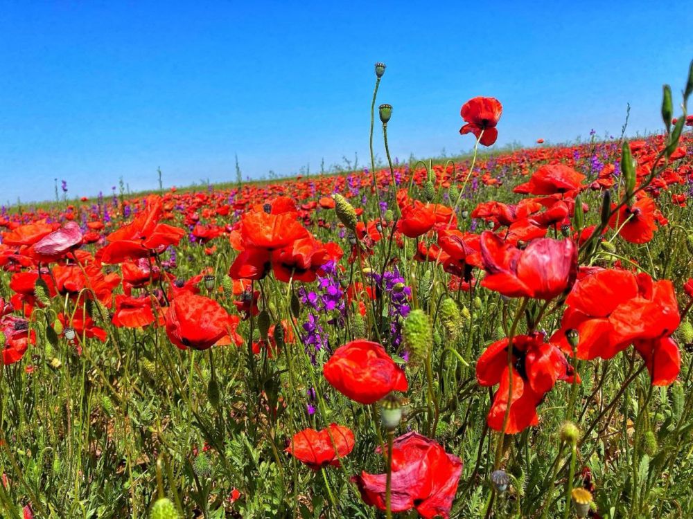 � ����� � ����� ������� ������� ������, �������� ���� ����� ���������� �������� ��� ����������