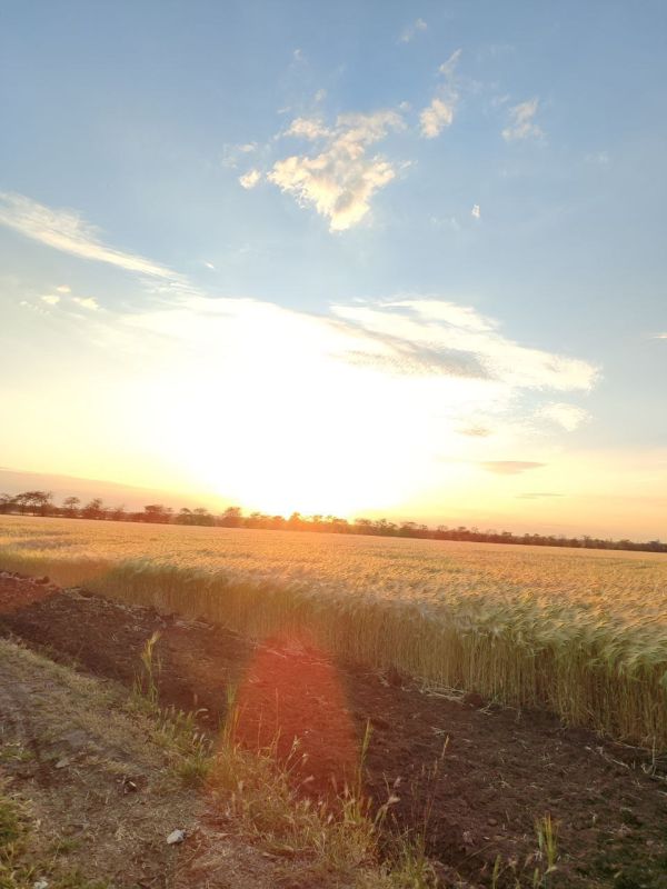 ������������� ���� ������ � �������� ������!