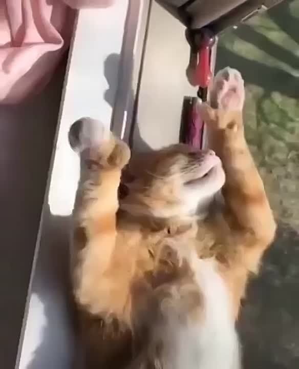 �� �� ��� ���� ��������� ���