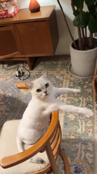 ��������� ���� ������! ��������-����� ���������� �������