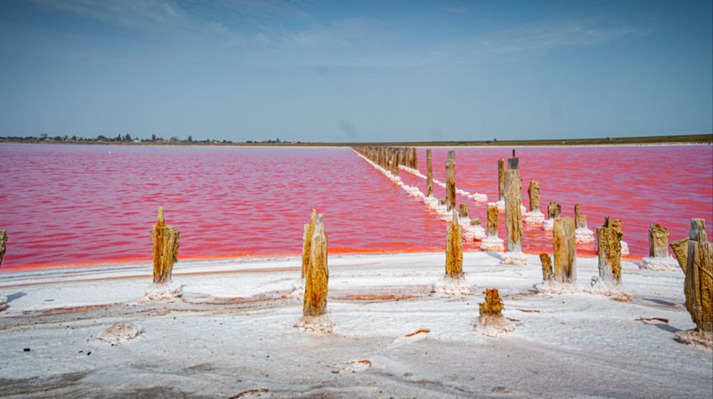 �������� ������: ���������� ������� � ���� ������������ �������