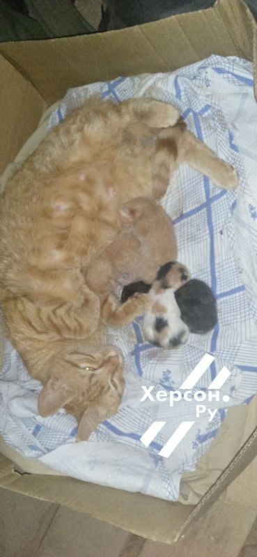 ����� ������������ �����, � ��� ����� � �� ���)