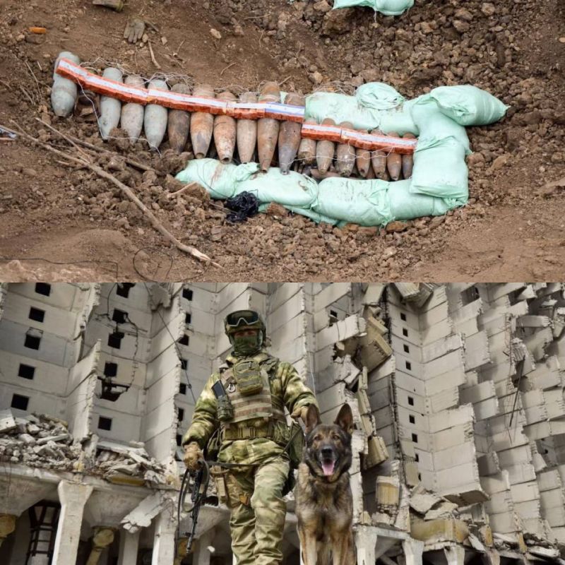 ������� ���� ������� ������������� ����������� ������������� �������� � ���������� �������