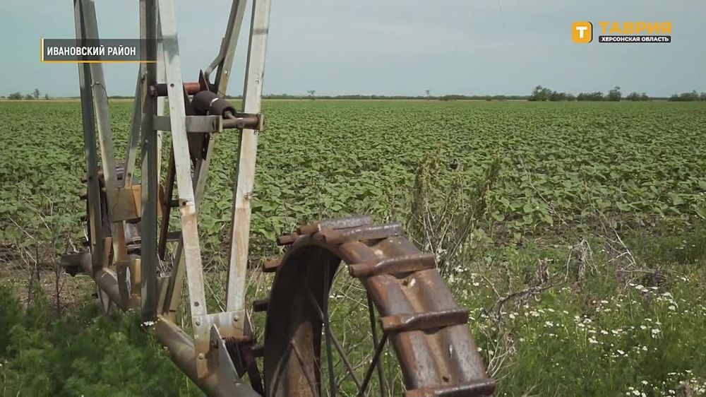 � ���������� ������� ����������� �������� ������� ������