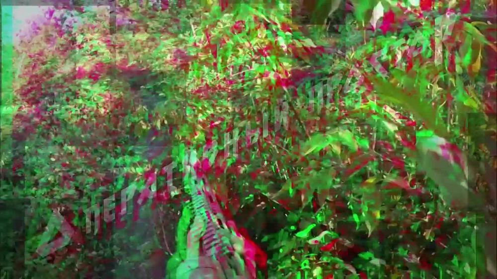 ������������� �� �� ������� ������� ����� �� ������� ���