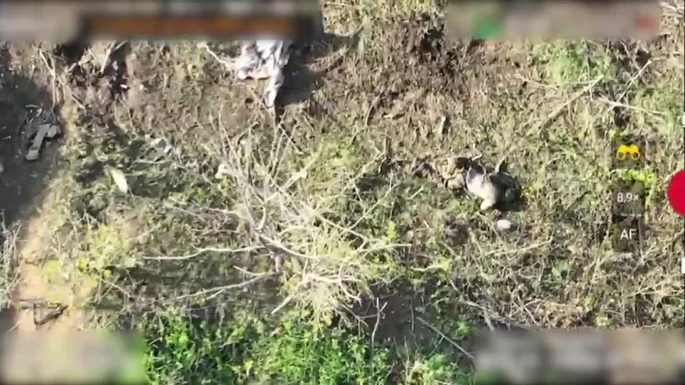 �������� ����� � ��������� ��������� � ���������������� ��������� ��� �������� �� ����������