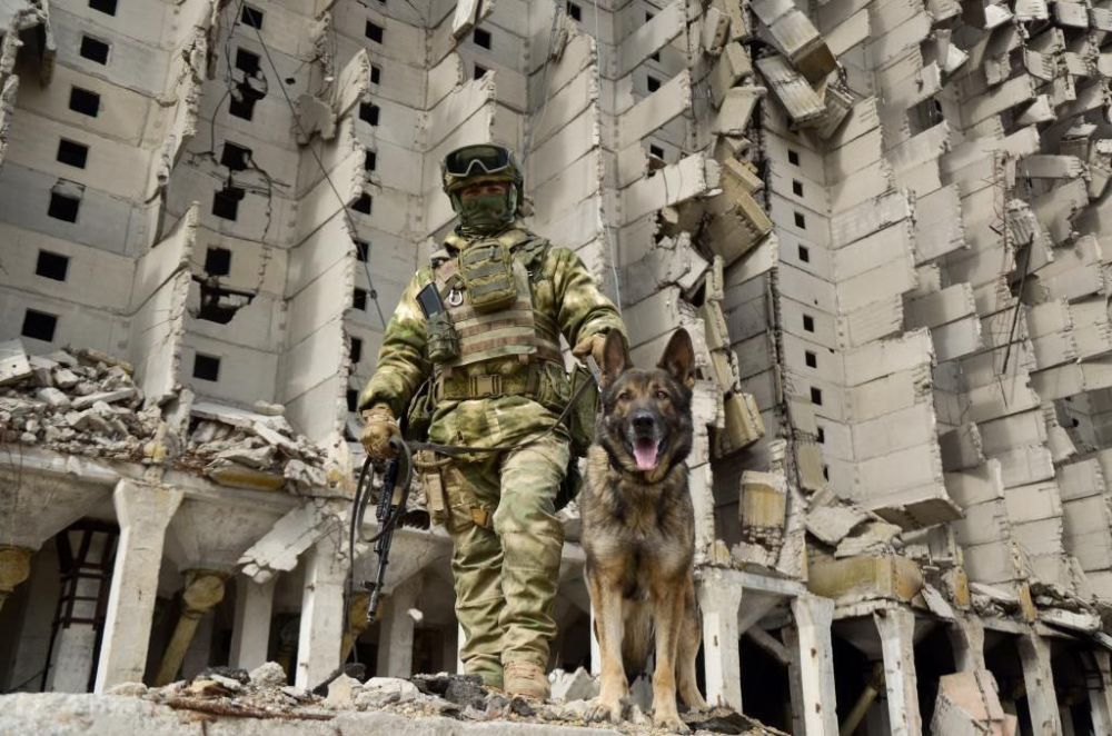 ������������ ����������� ������������� �������� � ���������� �������