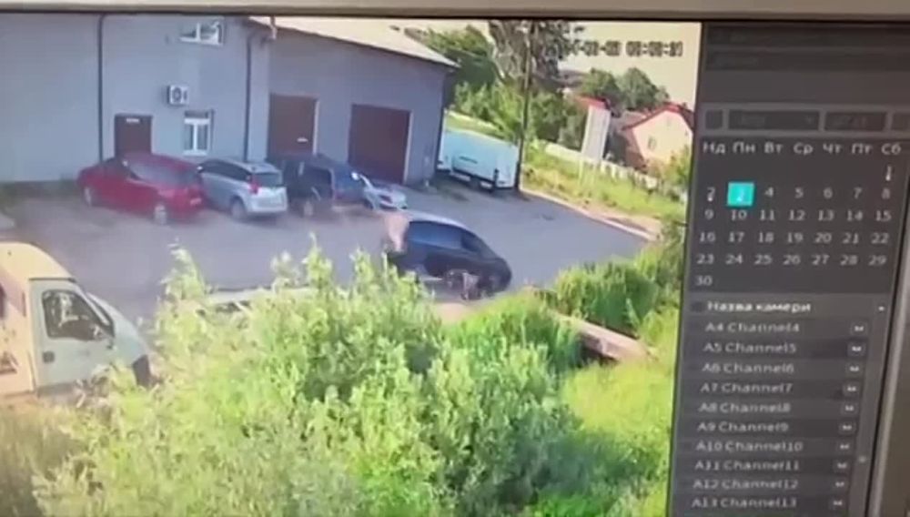 ���� ������ ���������� ����� �������� ������: ��� ������� �� ��������� ������ ������� �� ��������