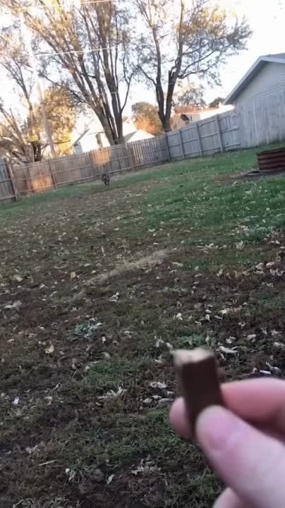 ��������� ���� ������!. ��������-����� ���������� �������