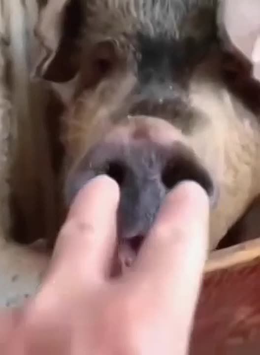 ��� ��������� ������, ��� ������ �� ������� �� ������� � ��������� ���������� �� �������, � ������� ������� ����������� ���������