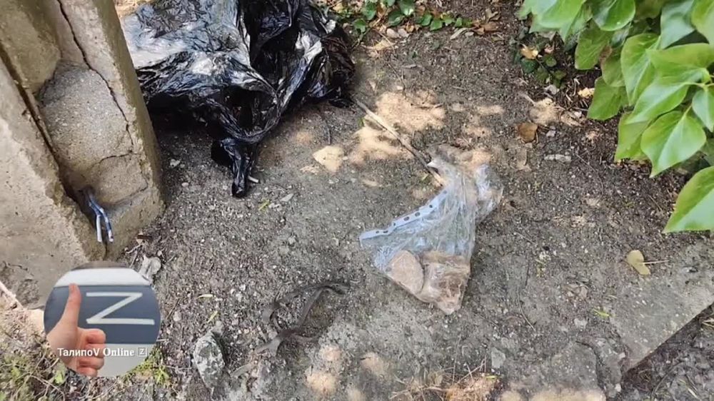 ����� ������� � ����������� � ����������� ������� ��� ������� �����, ������� ��������� ��������� ���������� �� �������� ����������� ���, � ����� ����� ����� �������� ���������