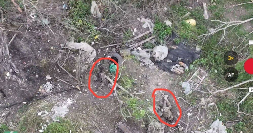 ����� � ������� ����! �� ���� �����