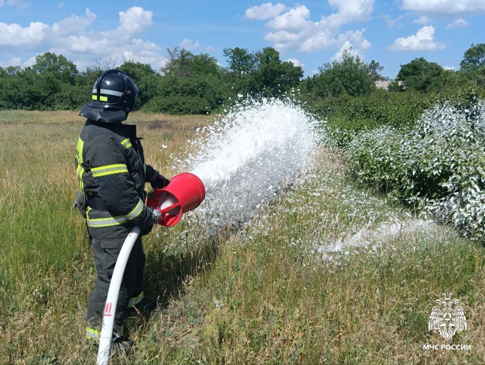 �� ������ �������-������������ ������������� ����������� �� 39 �������