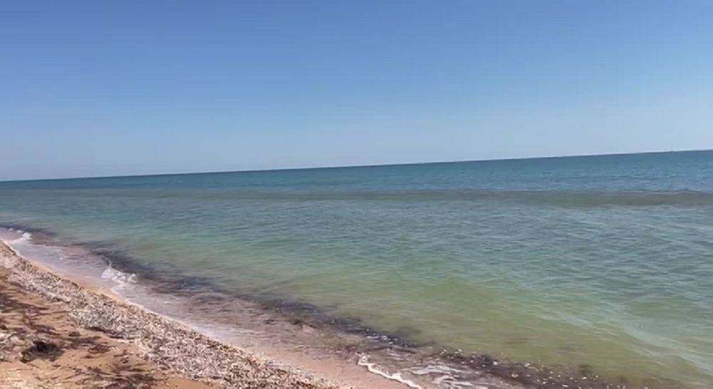 ���������� �����������